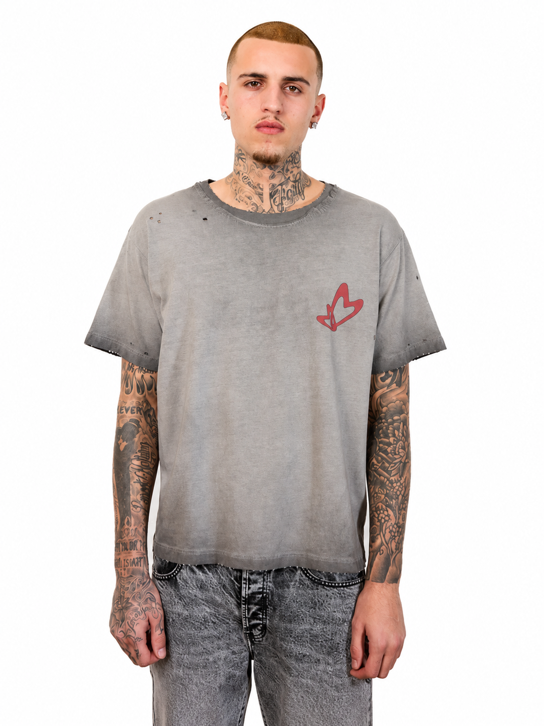 DISTRESSED WINGS TEE GREY